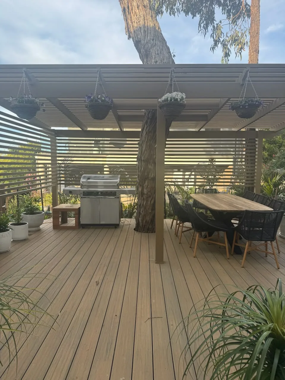 Louvred pergola over a composite deck with outdoor dining, barbecue and a gum tree through the roof