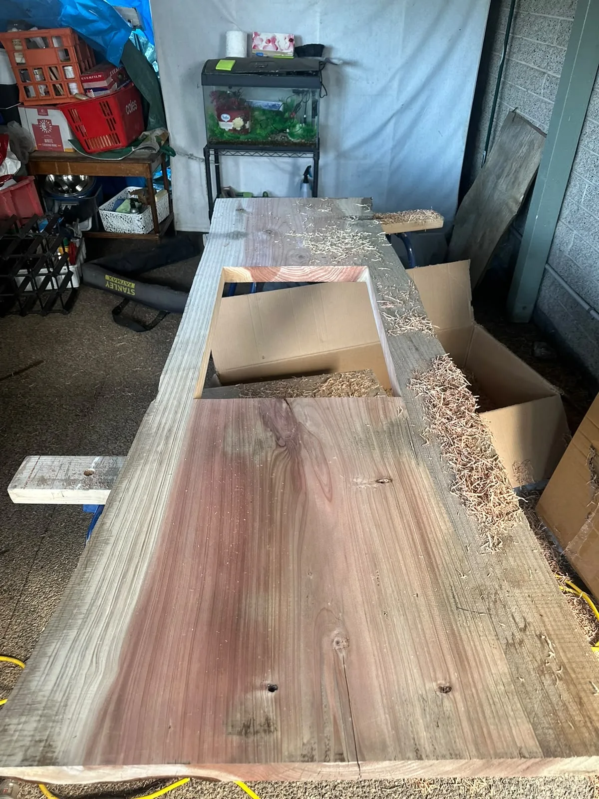 Rough-sawn red gum slab being worked in the Lovewood workshop, shavings across the bench