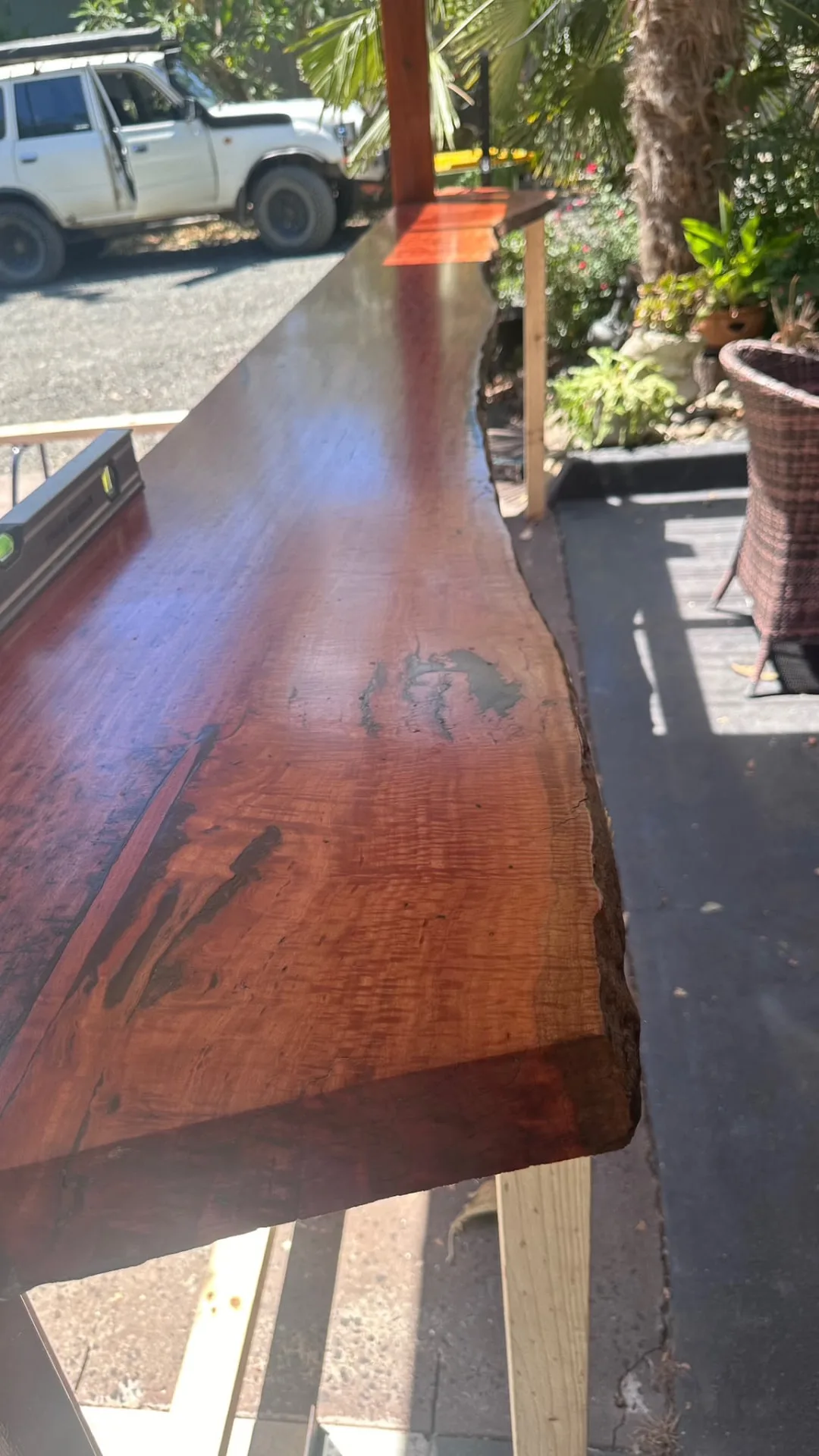 Finished live-edge red gum benchtop, freshly oiled and levelled on stands outside the workshop